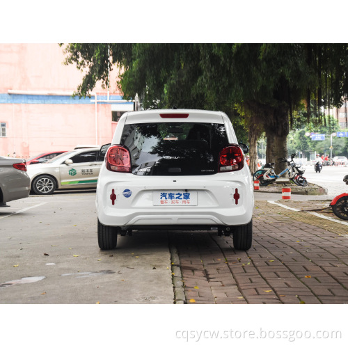 Auto energy electric car mini small car family use hot selling high quality